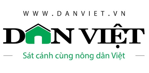 Dan viet