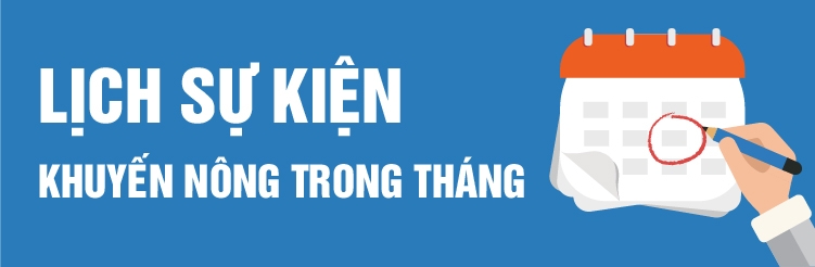 Lich hoat dong