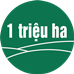 Chuyên canh lúa CLC