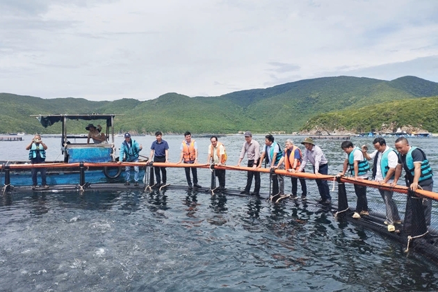 Khánh Hòa: Diễn đàn Khuyến nông @ Nông nghiệp chủ đề "Giải pháp phát triển nuôi biển thích ứng với biến đổi khí hậu tại các tỉnh ven biển Nam Trung Bộ"