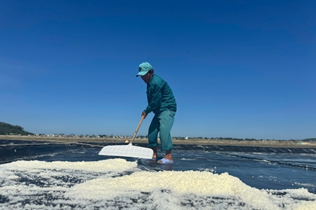 Vẻ đẹp lao động trên đồng muối Sa Huỳnh