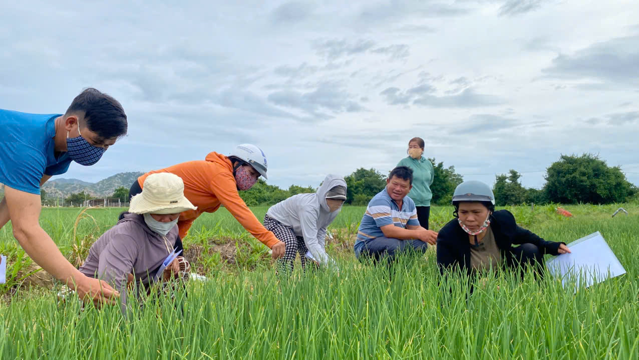 Khánh Hoà phê duyệt chương trình Khuyến nông giai đoạn 2026-2030