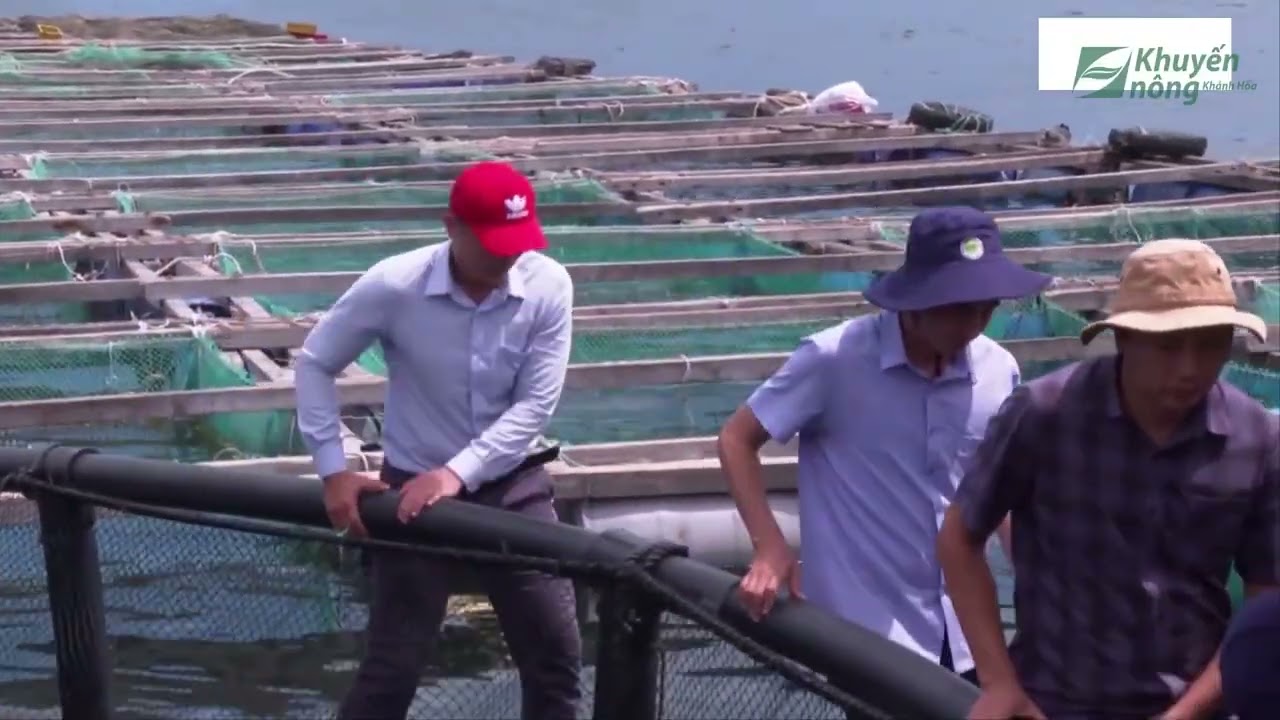 Ứng dụng công nghệ thông tin vào giám sát các mô hình nuôi trồng thủy sản