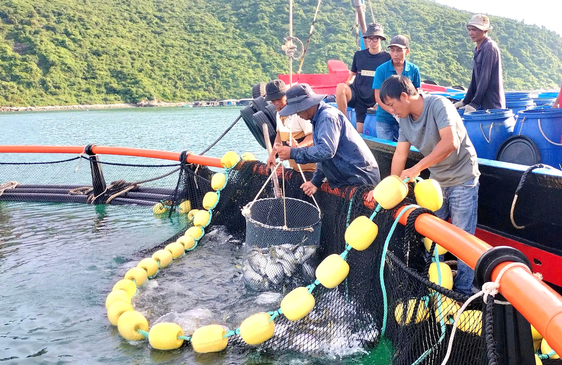 Khuyến nông Khánh Hòa làm ‘đòn bẩy’ giúp nghề nuôi cá biển vươn khơi