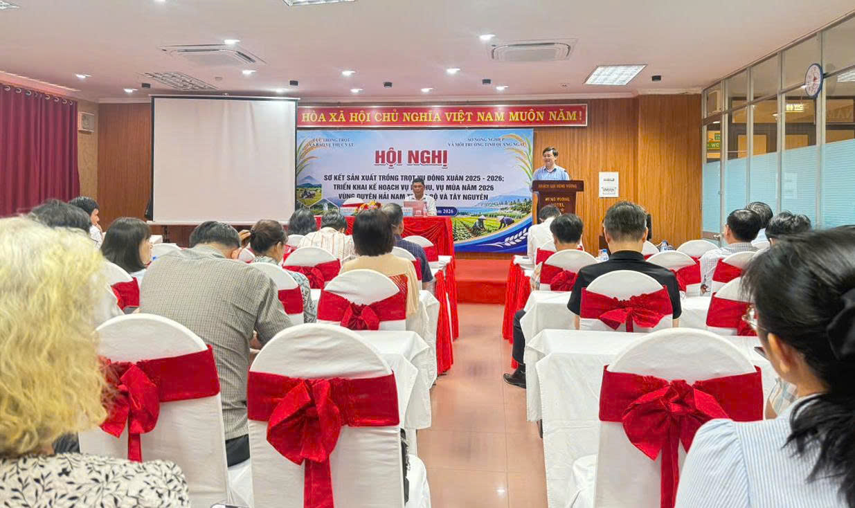 Nam Trung Bộ, Tây Nguyên thắng lợi vụ Đông Xuân nhờ chủ động ứng phó El Nino