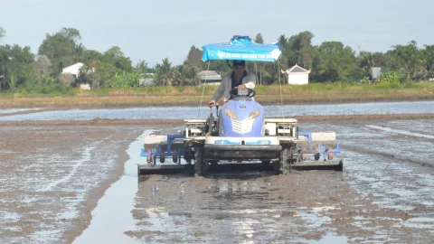 Cơ giới hóa đồng bộ sản xuất lúa chất lượng cao, giảm phát thải