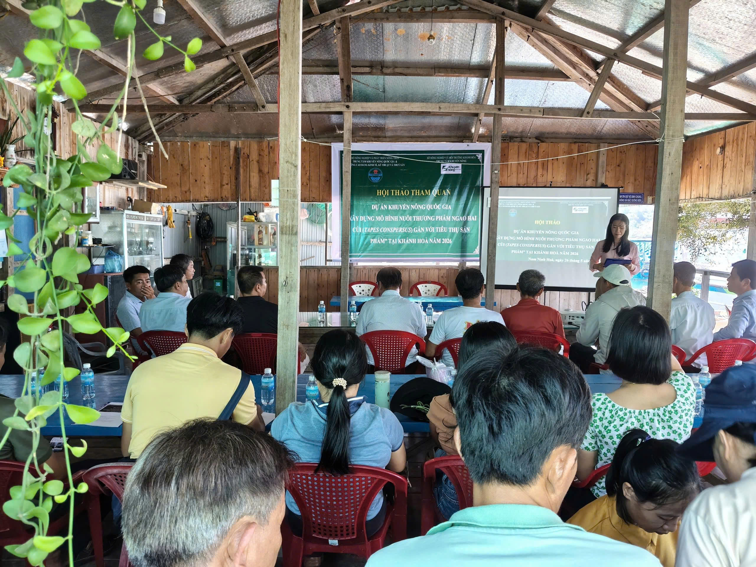 Phát triển kinh tế biển từ mô hình nuôi thương phẩm ngao hai cùi tại Khánh Hoà