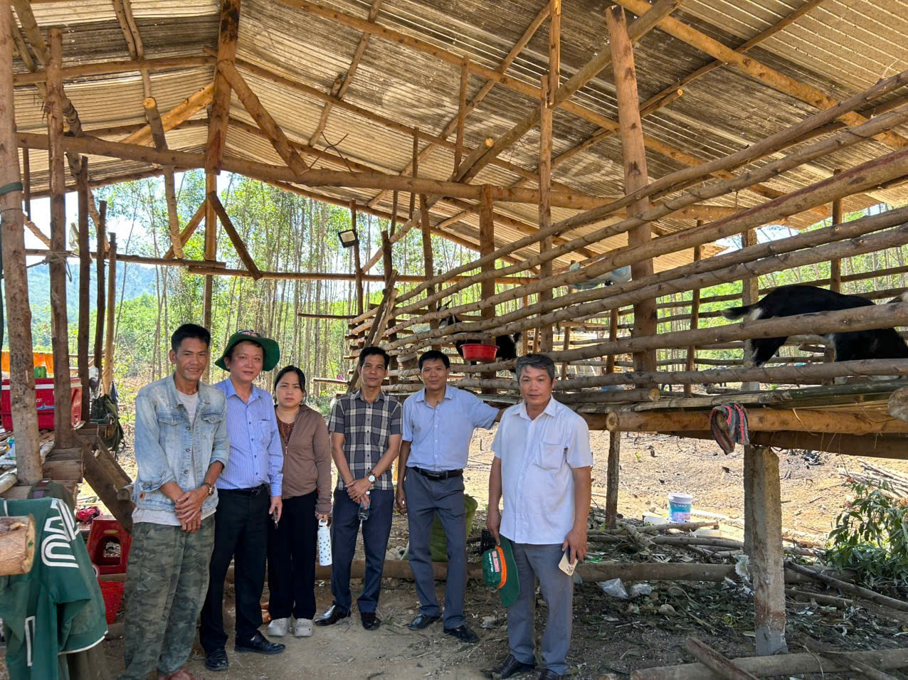 Triển khai công tác chọn điểm, chọn hộ dân thực hiện Mô hình chăn nuôi cừu sinh sản năm 2026 tại các xã Trung Khánh Vĩnh và Thuận Bắc