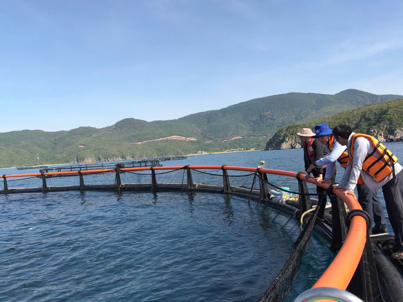 Mô hình nuôi biển công nghệ cao bước đầu phát huy hiệu quả, người dân chủ động nhân rộng
