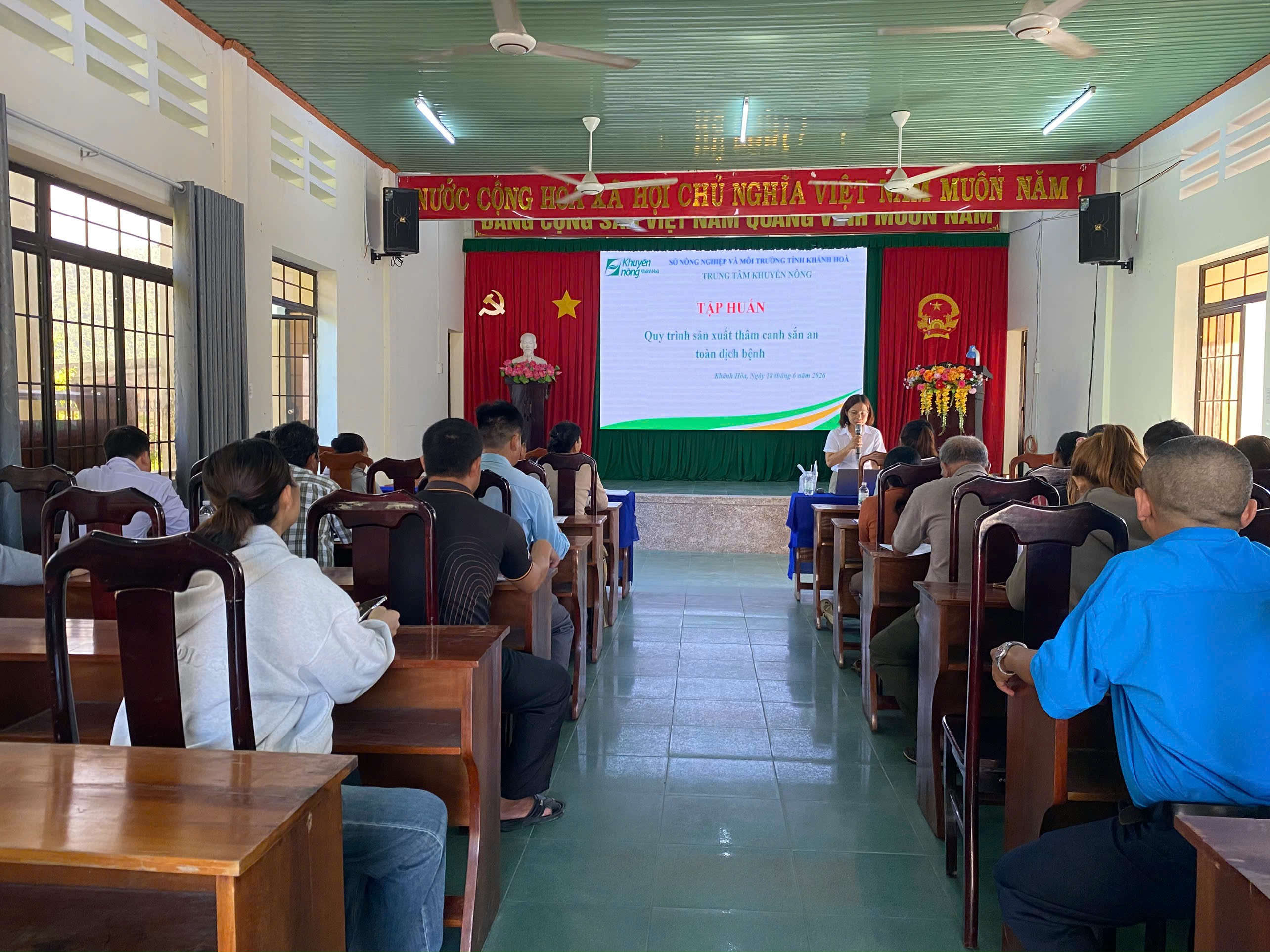 Thực hiện Chương trình Khuyến nông tỉnh năm 2026: Tập huấn kỹ thuật sản xuất thâm canh sắn an toàn dịch bệnh